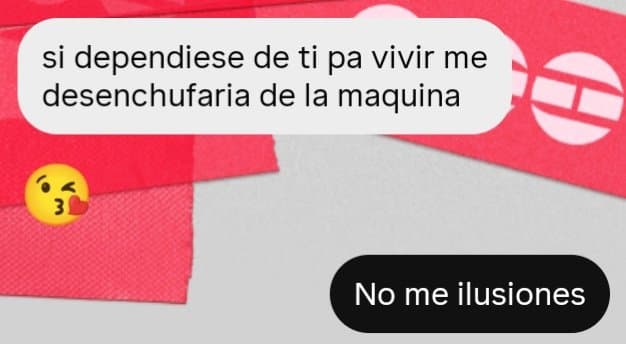 Imatge del xiu
