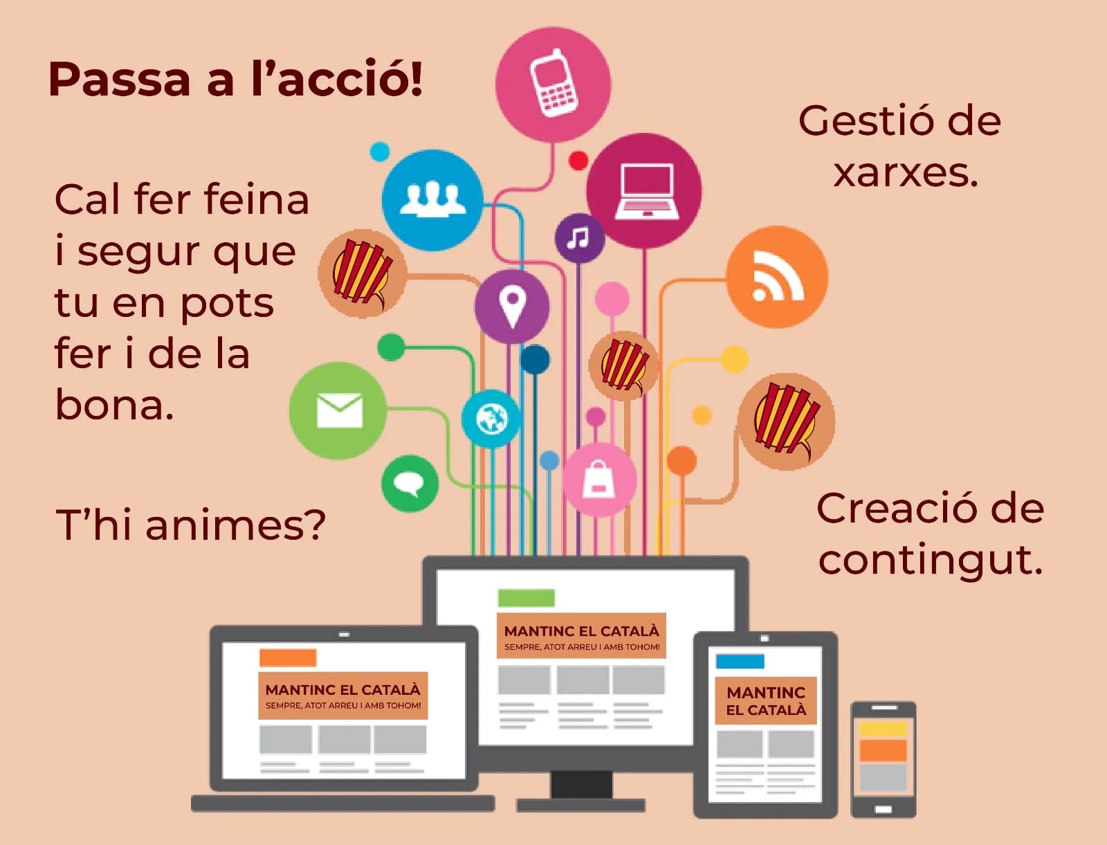 Imatge del xiu