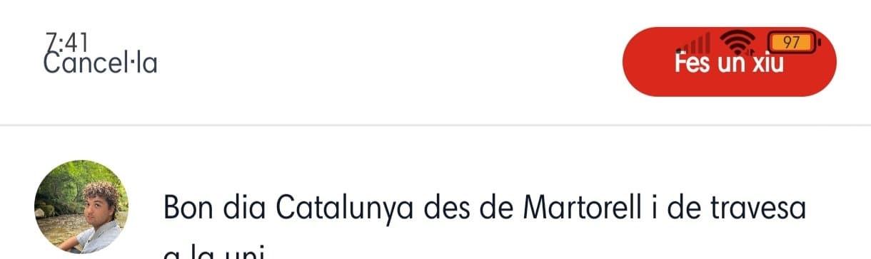 Imatge del xiu