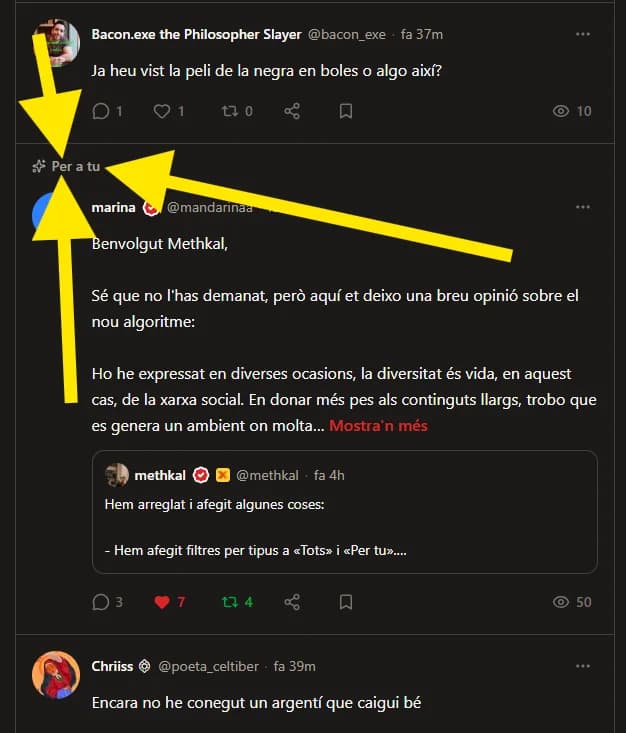 Imatge del xiu