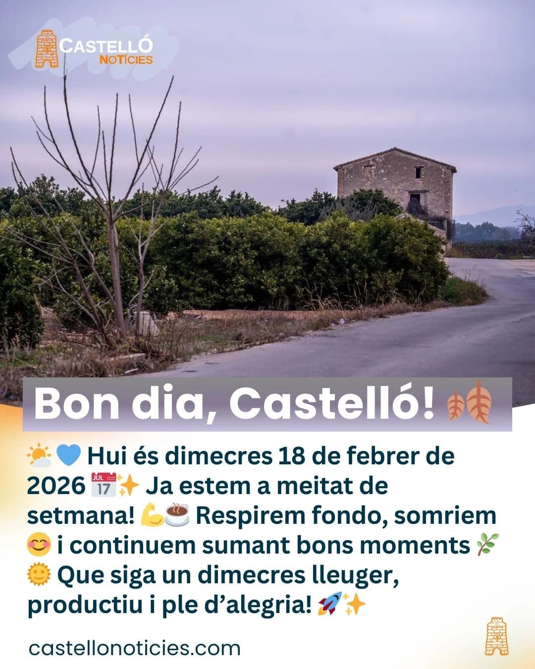 Imatge del xiu