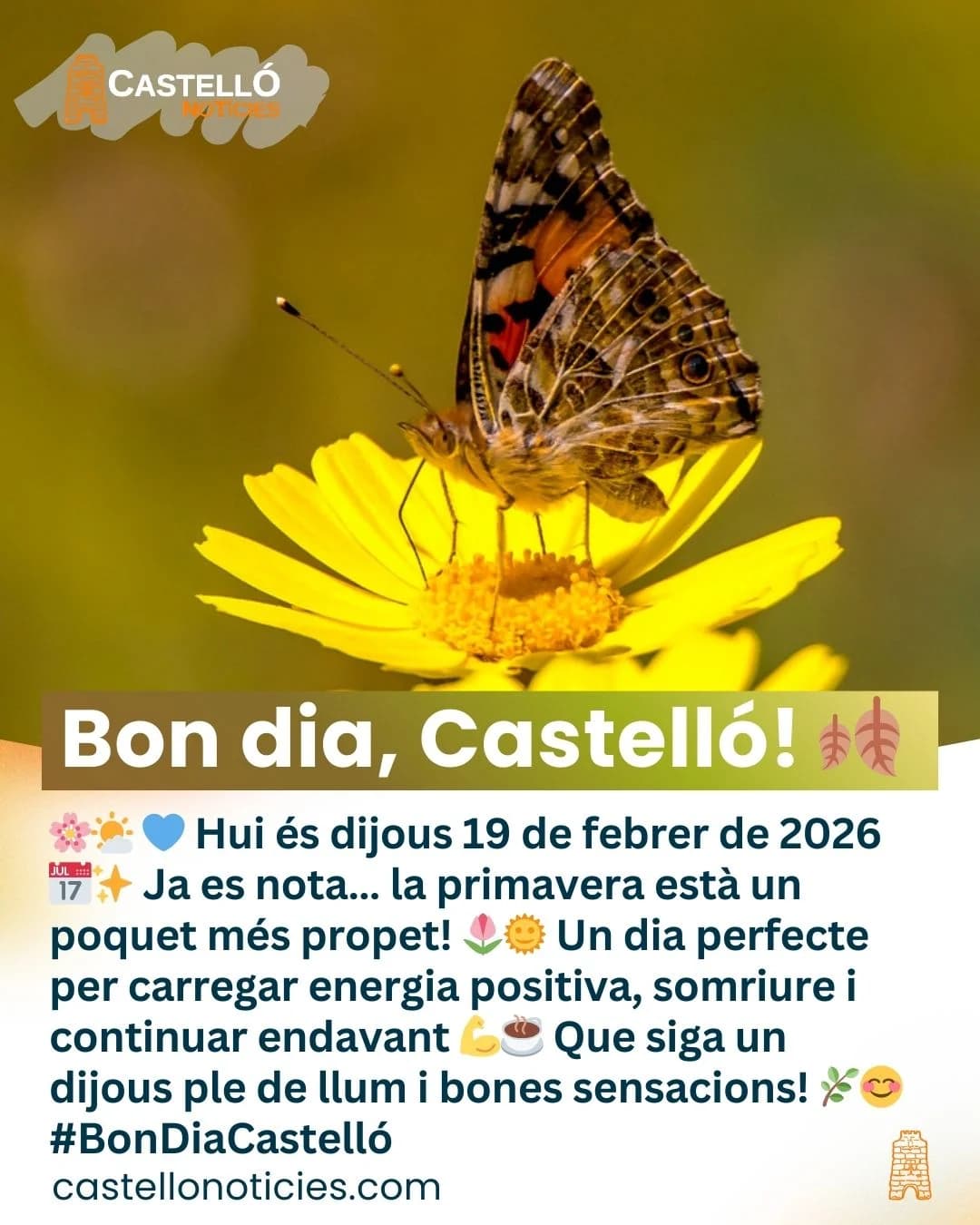 Imatge del xiu