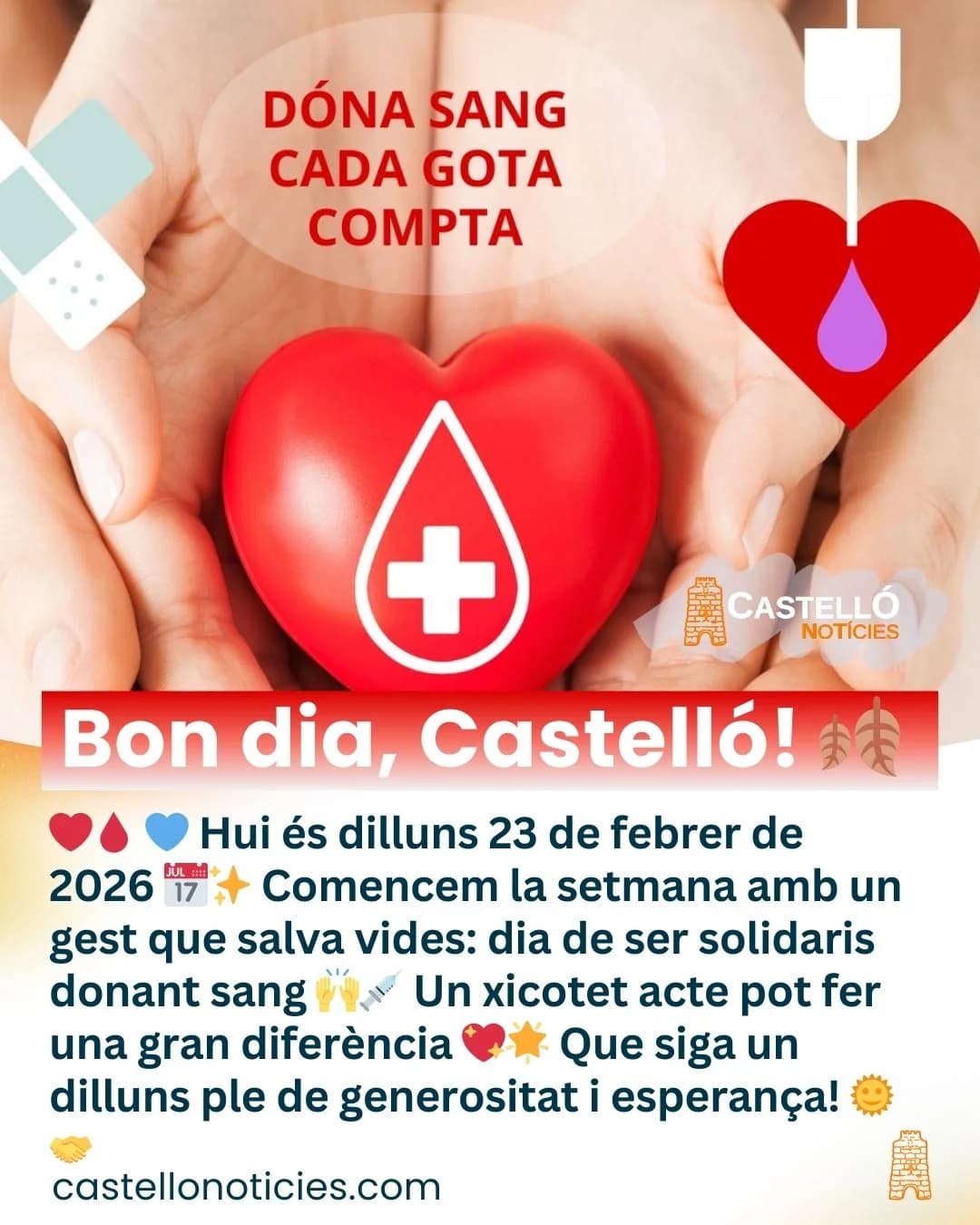 Imatge del xiu