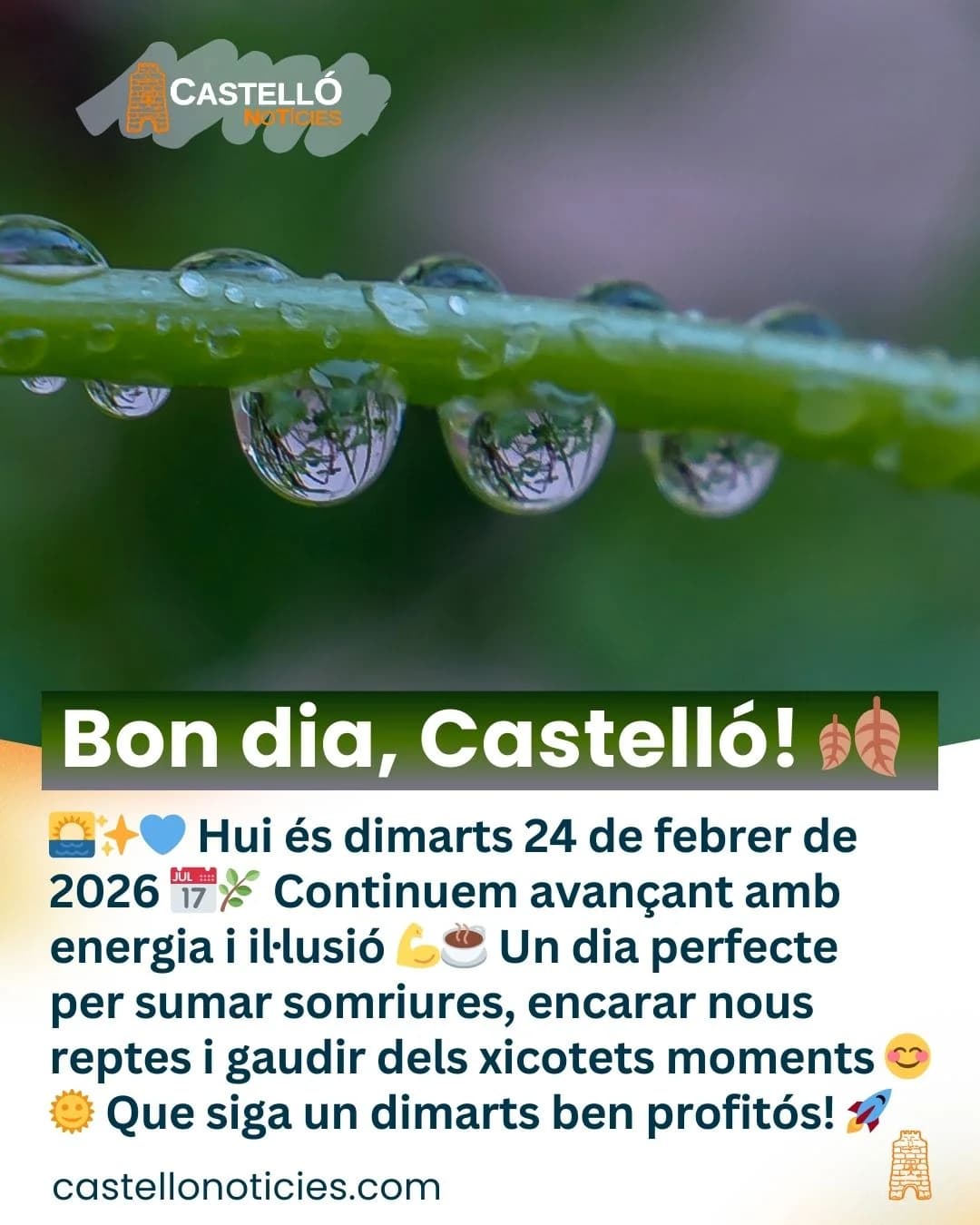 Imatge del xiu