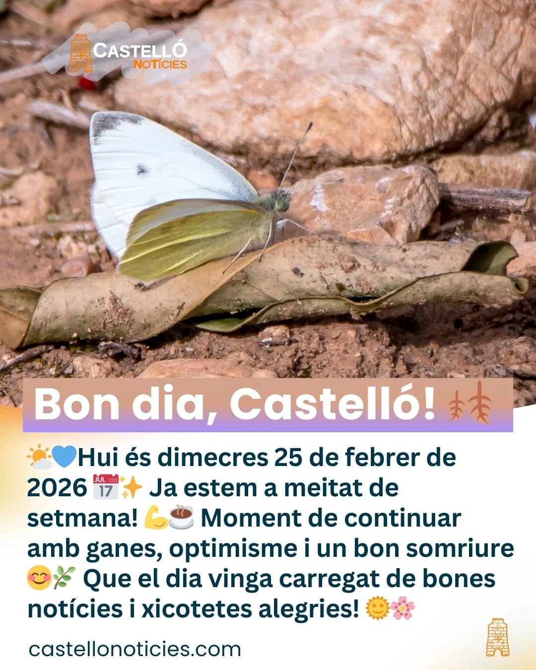 Imatge del xiu