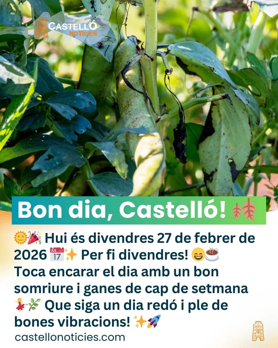 Imatge del xiu
