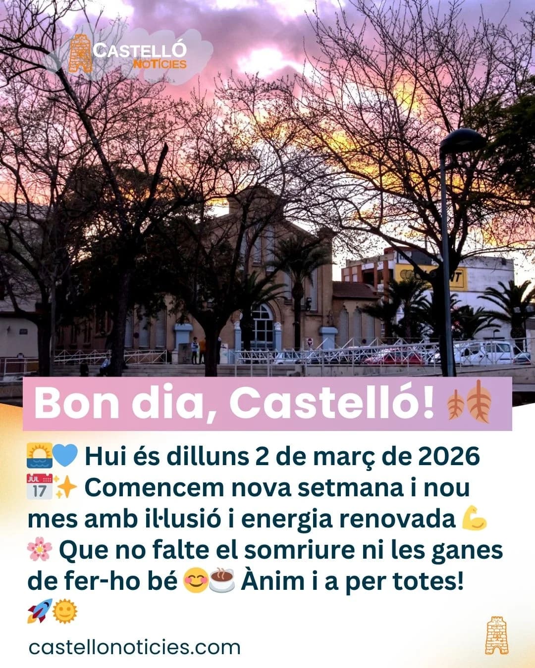 Imatge del xiu