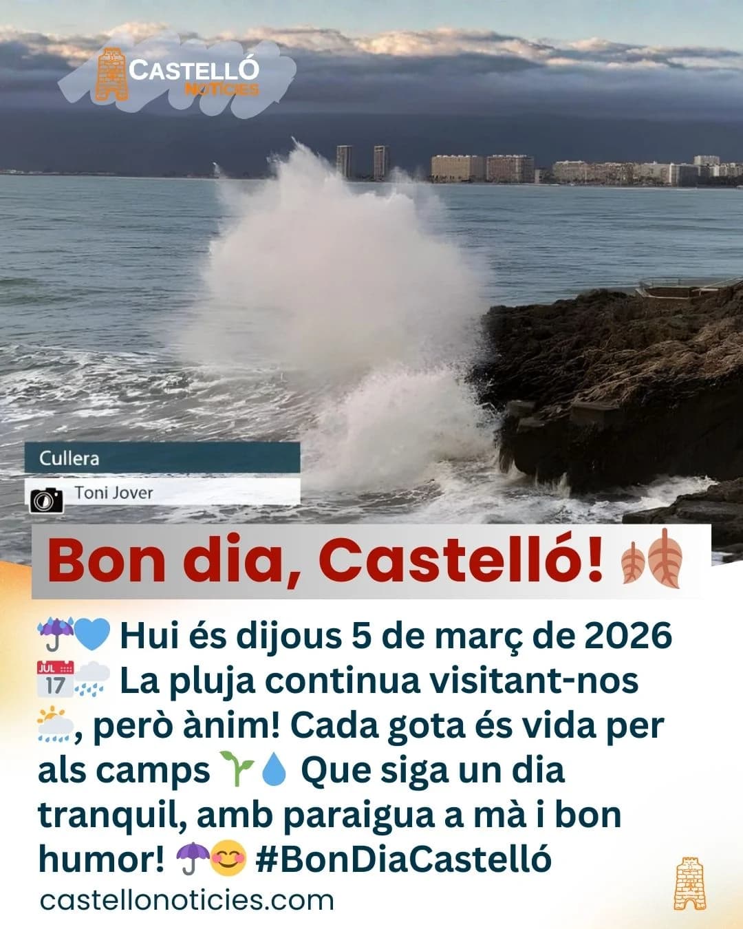 Imatge del xiu