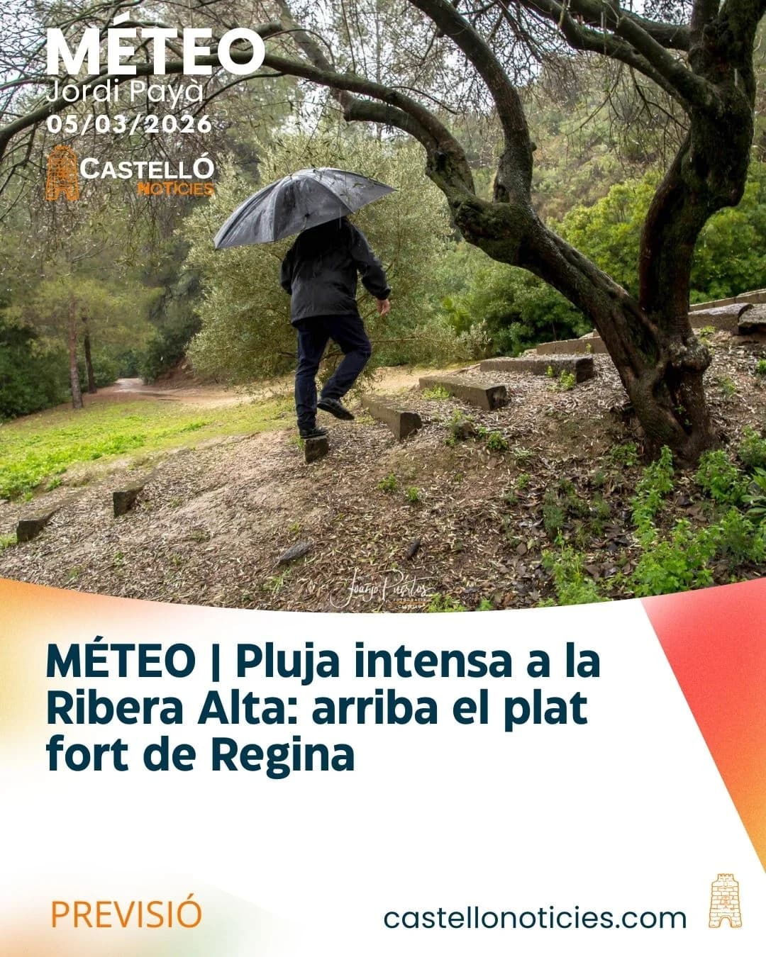 Imatge del xiu