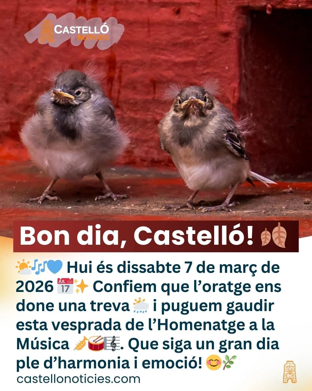 Imatge del xiu