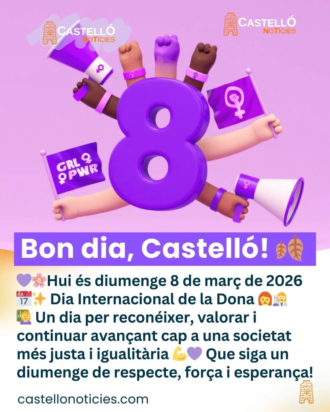 Imatge del xiu