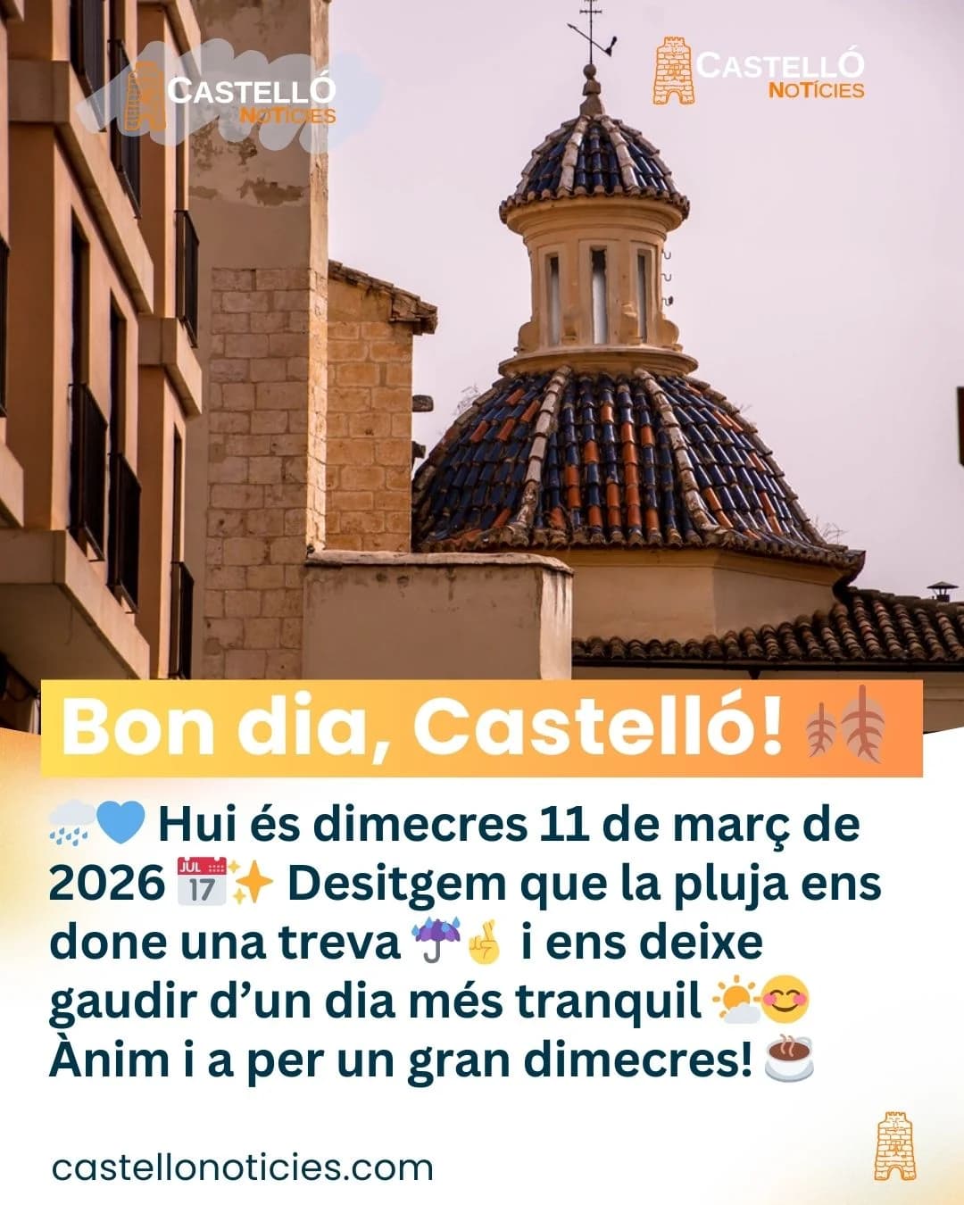 Imatge del xiu