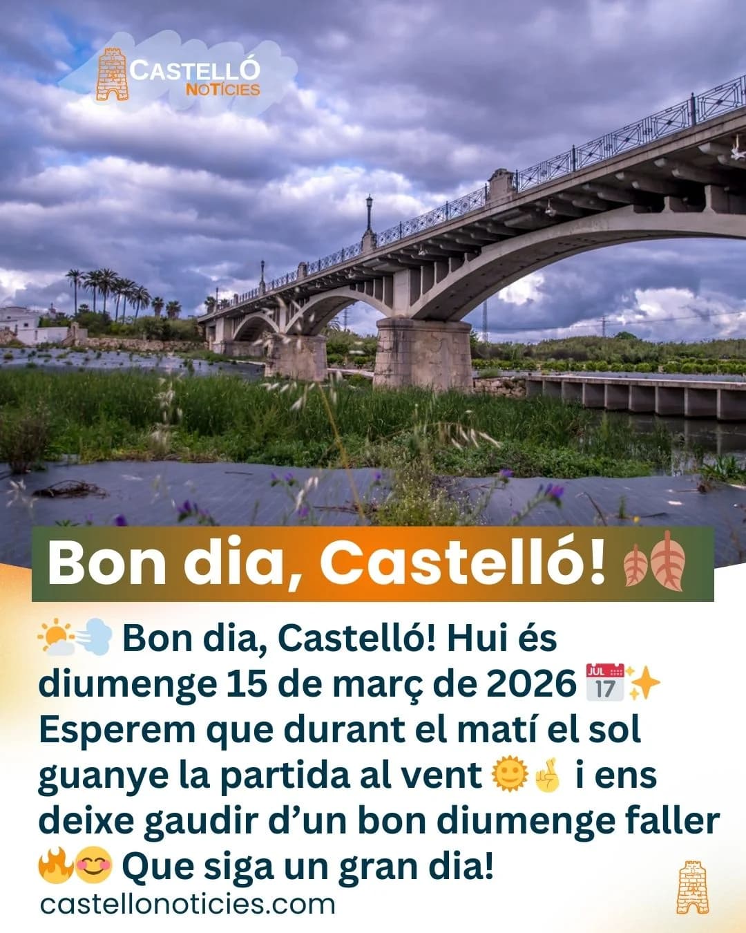 Imatge del xiu
