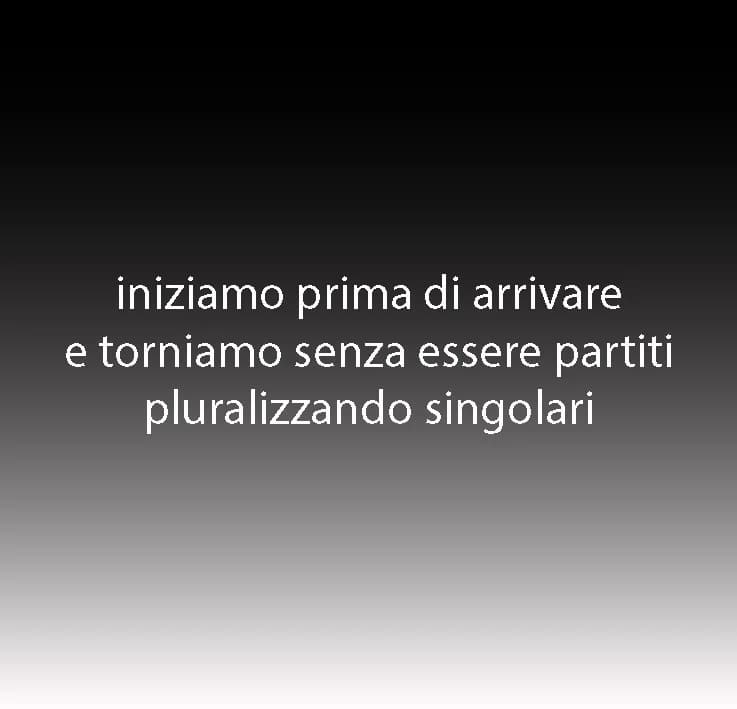 Imatge del xiu