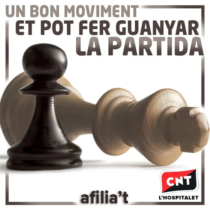 Imatge del xiu