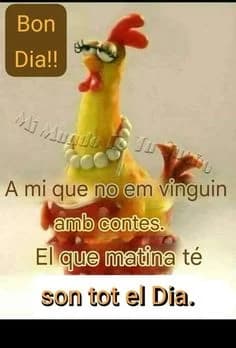 Imatge del xiu