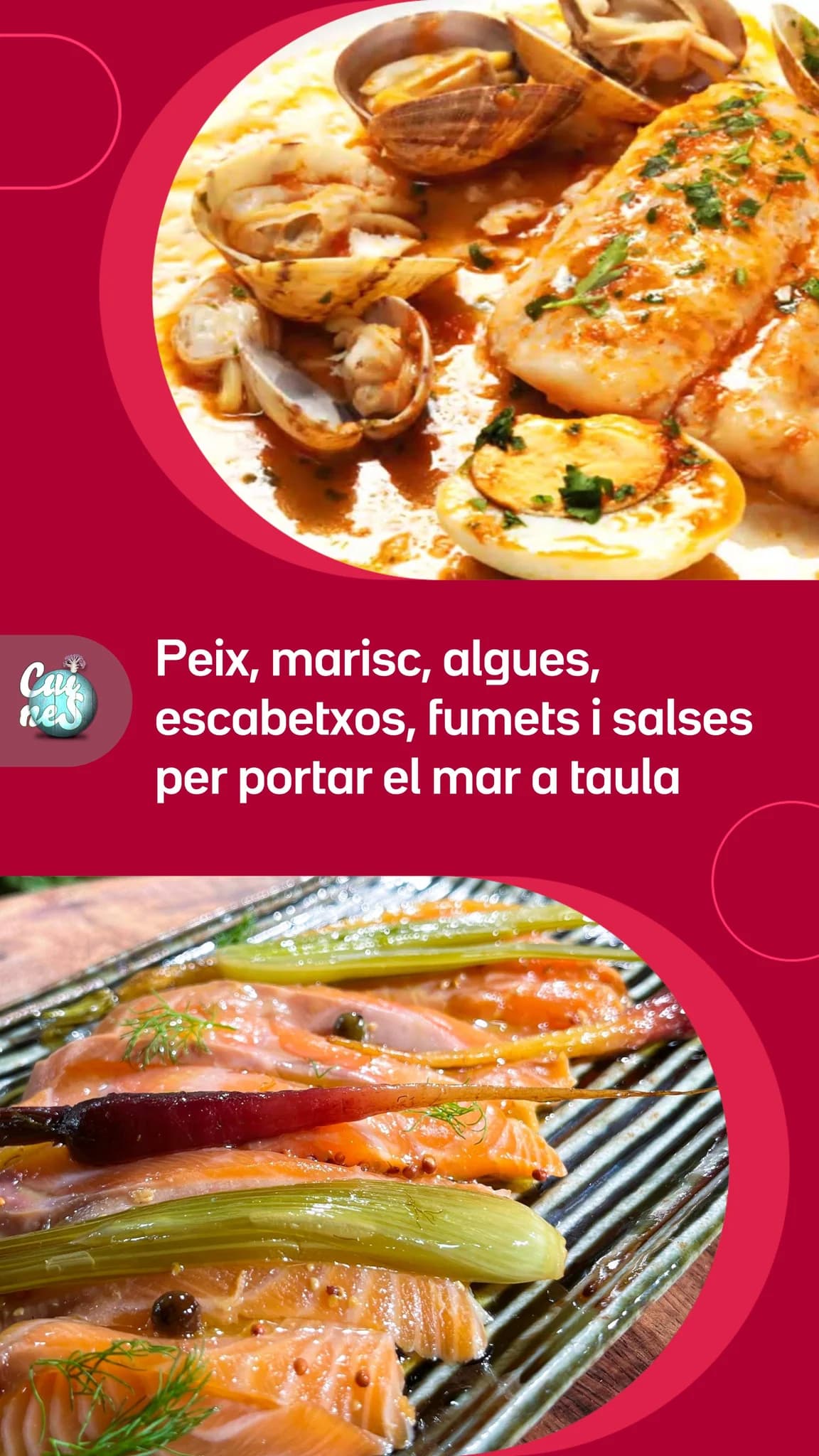 Imatge del xiu