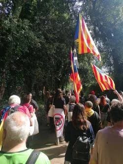 Imatge del xiu