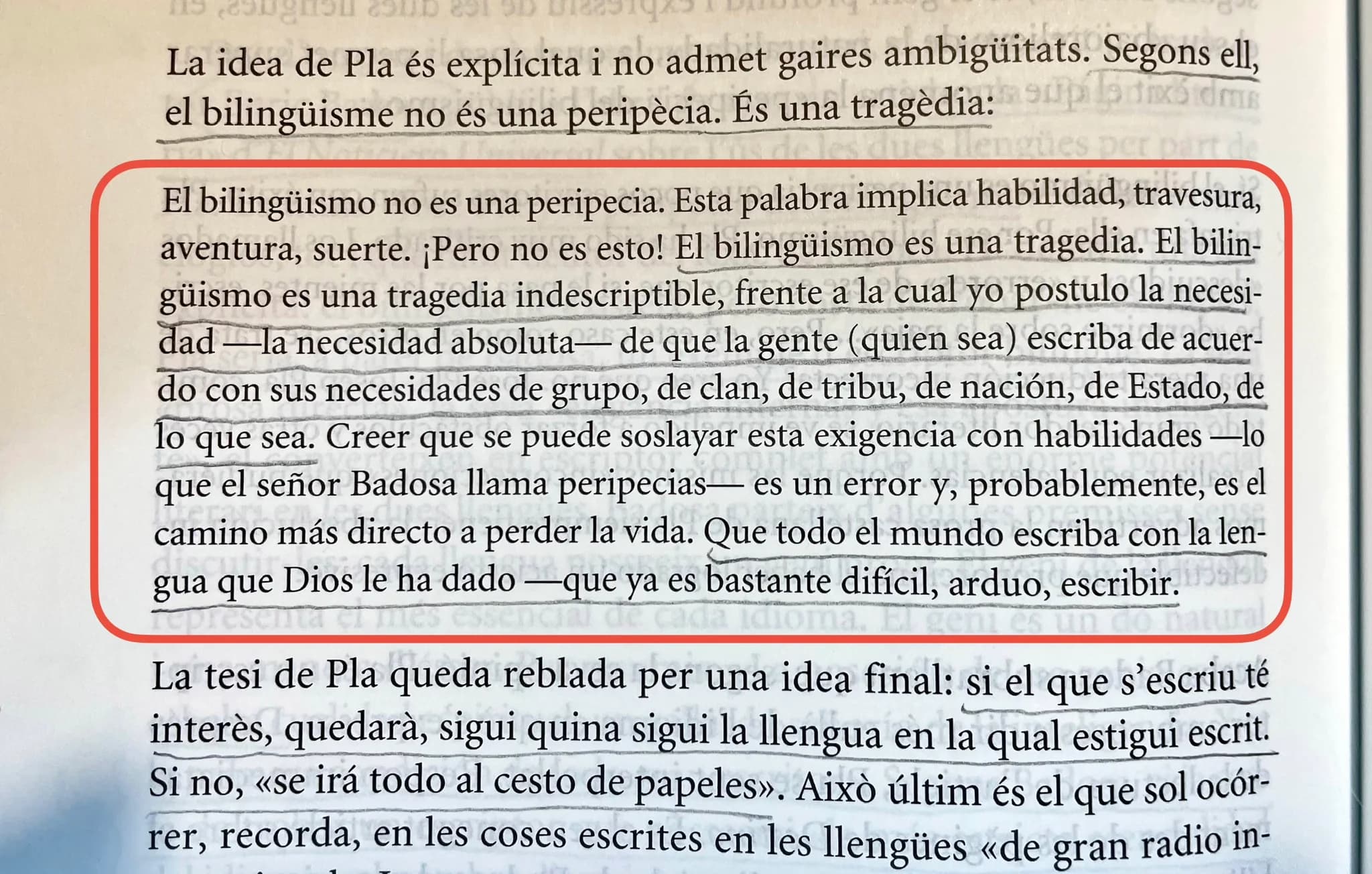 Imatge del xiu