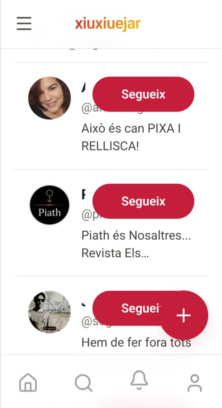 Imatge del xiu