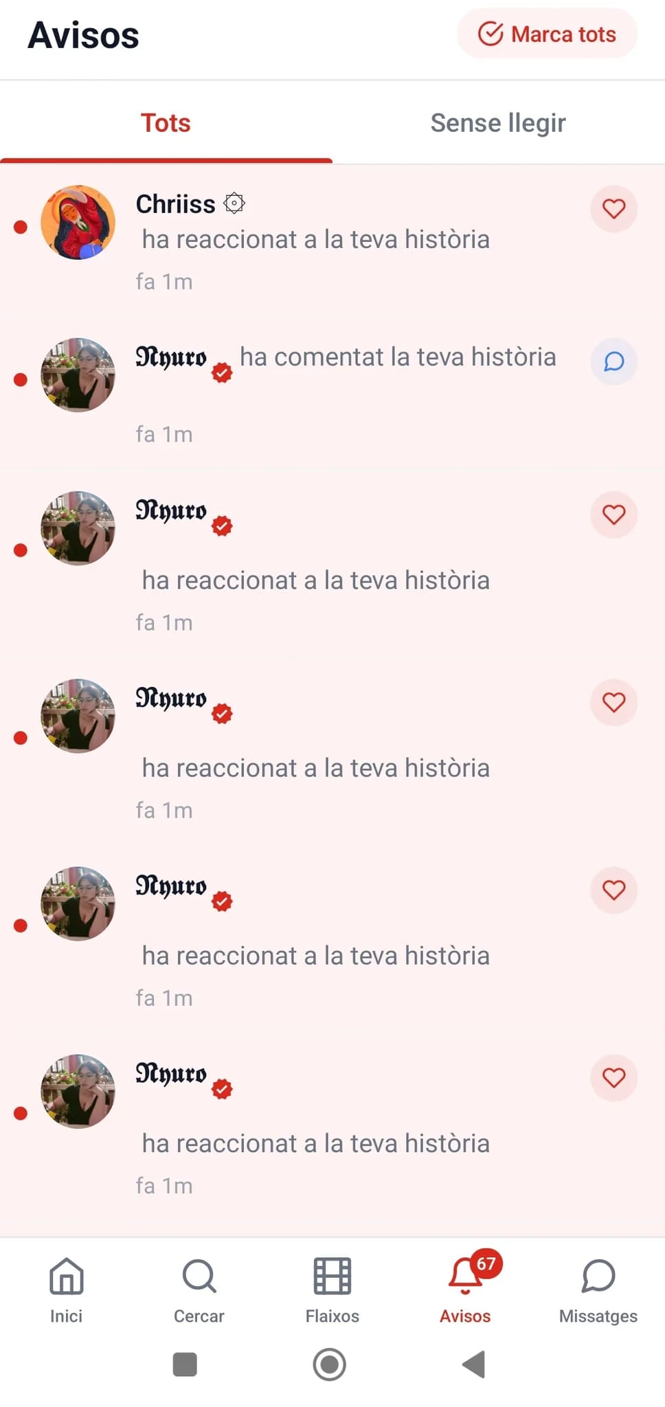 Imatge del xiu