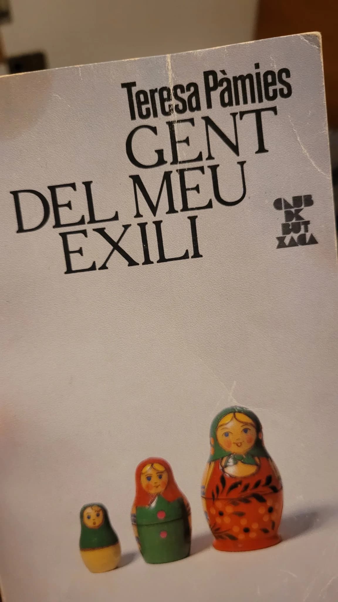 Imatge del xiu